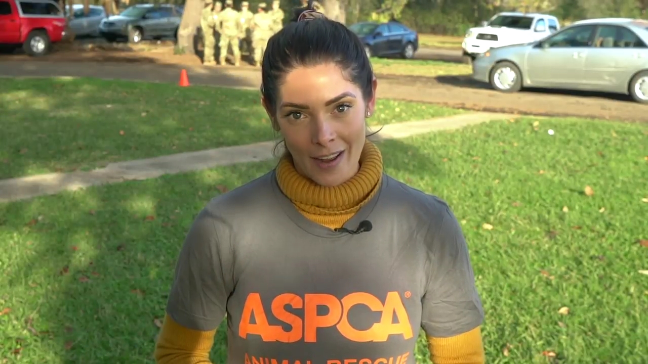 Ashley-Greene-dot-nl_ASPCA0066.jpg