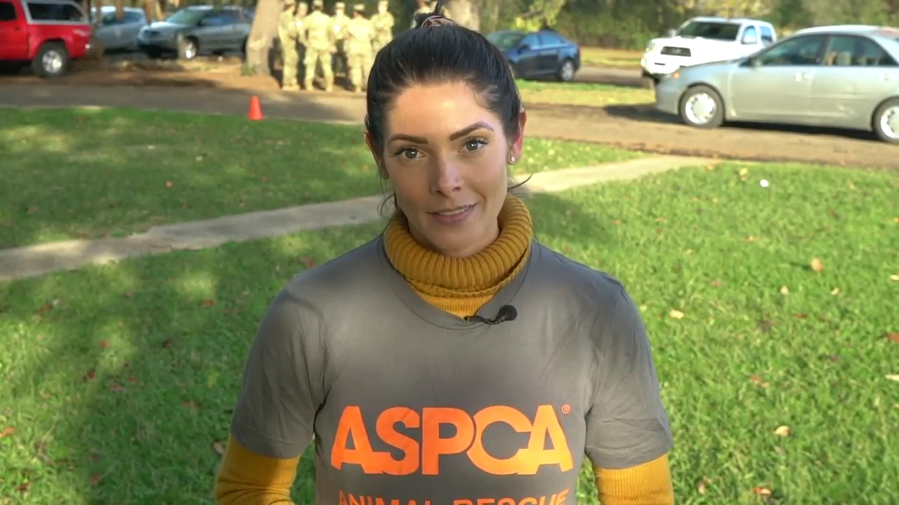 Ashley-Greene-dot-nl_ASPCA0067.jpg