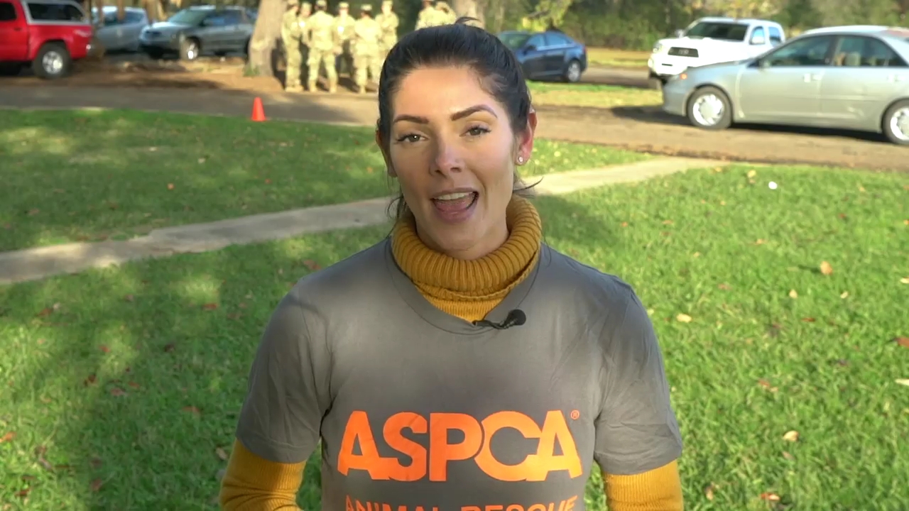 Ashley-Greene-dot-nl_ASPCA0068.jpg