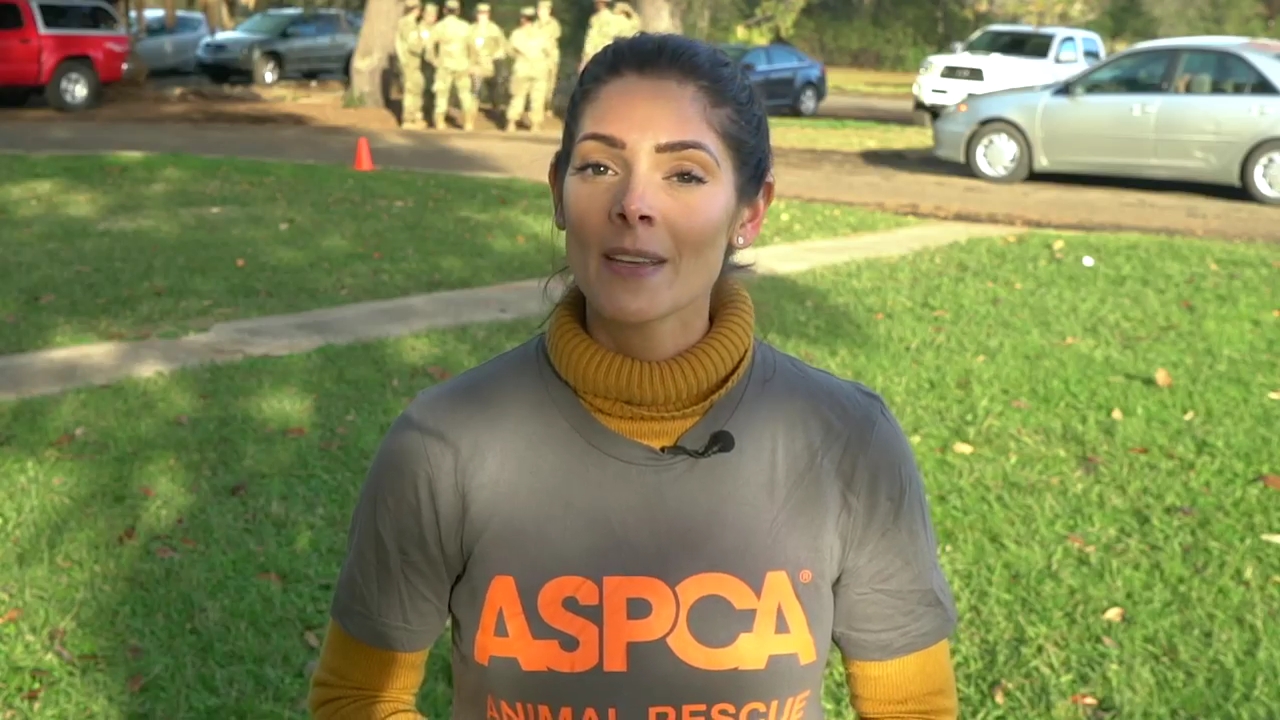 Ashley-Greene-dot-nl_ASPCA0069.jpg