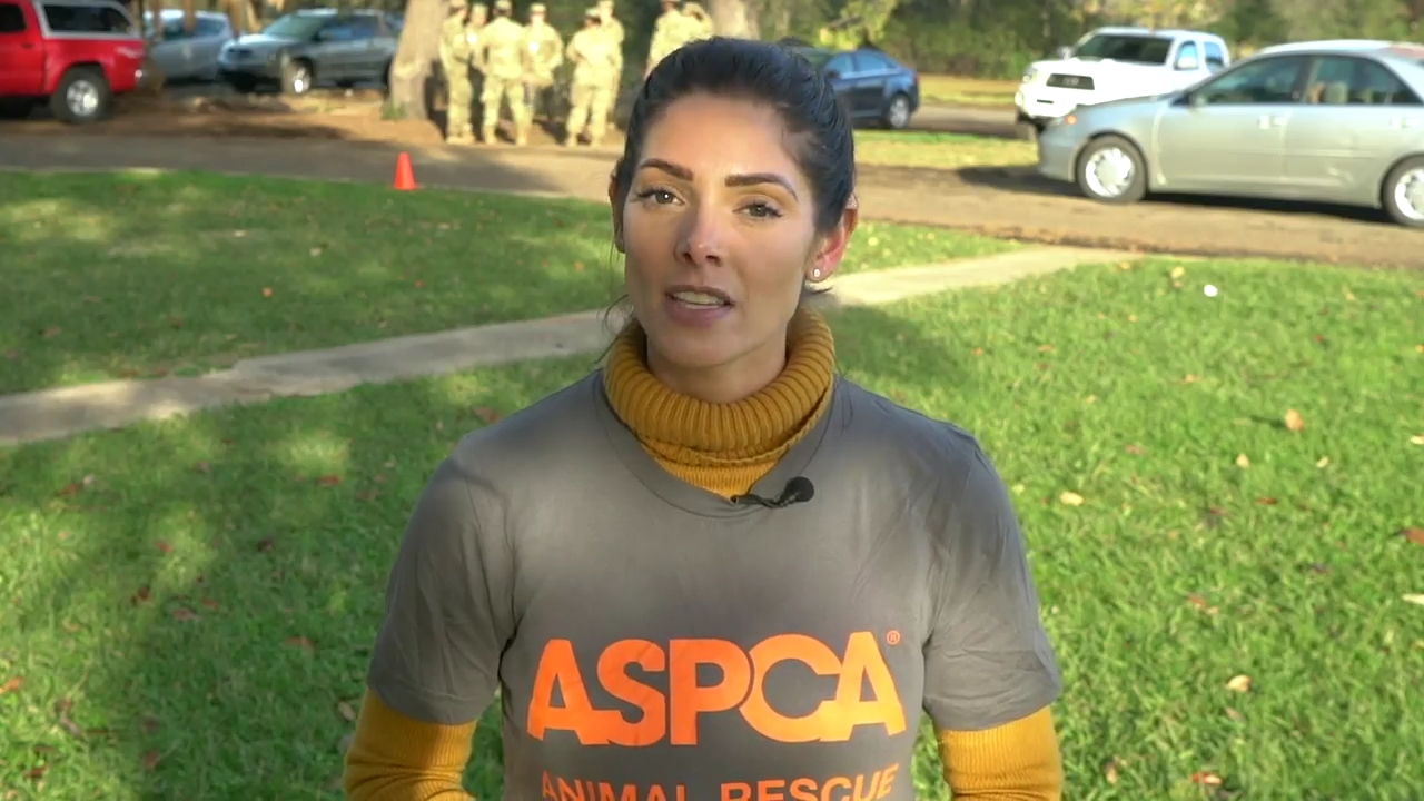 Ashley-Greene-dot-nl_ASPCA0070.jpg