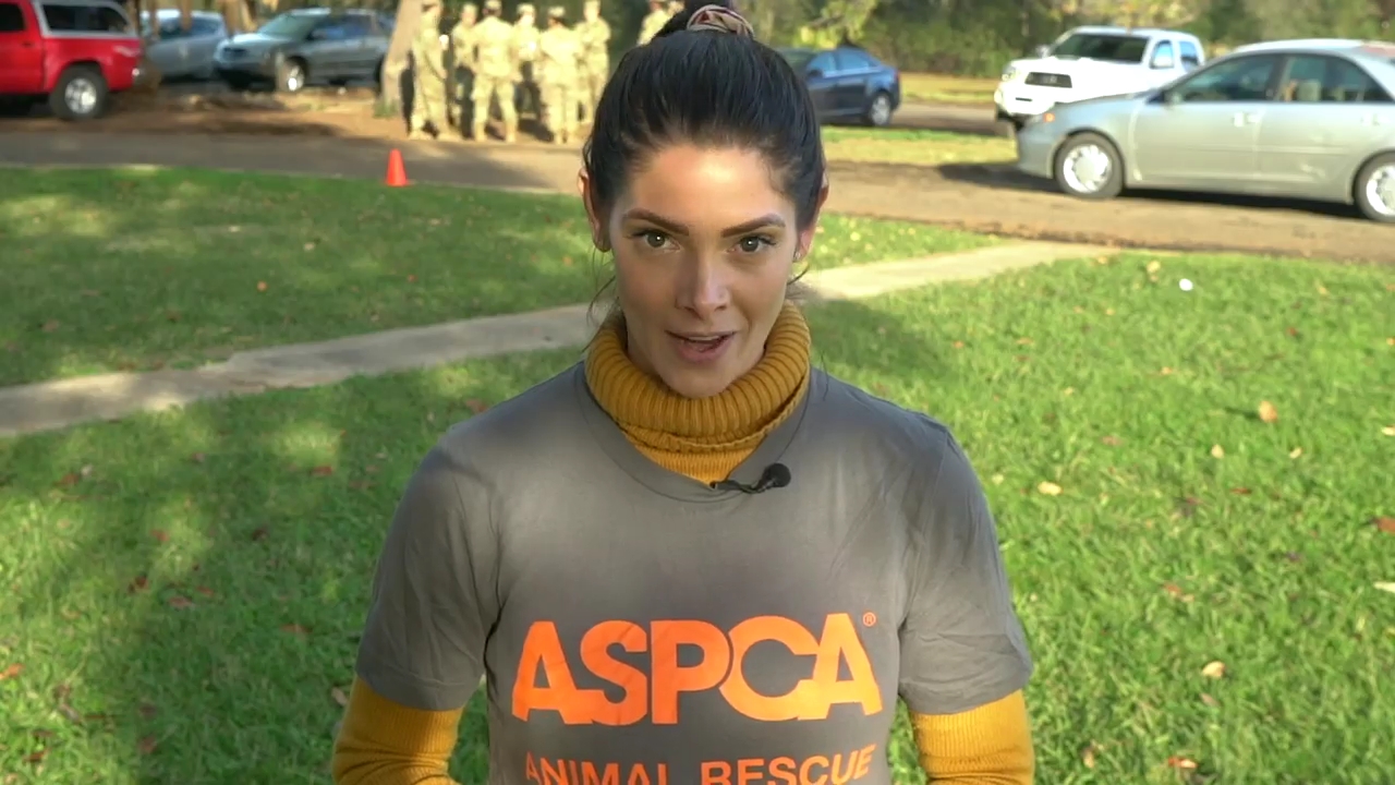 Ashley-Greene-dot-nl_ASPCA0073.jpg