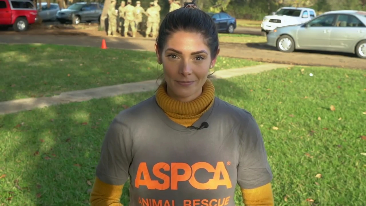 Ashley-Greene-dot-nl_ASPCA0075.jpg