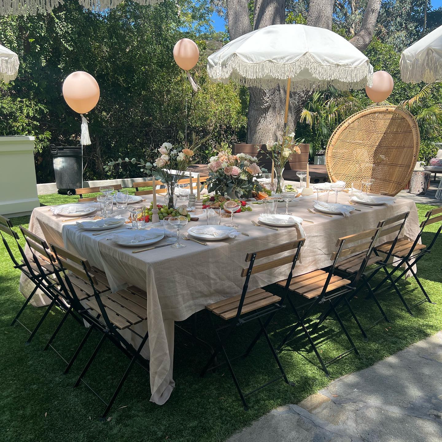 set-up001.jpg set-up001.jpg