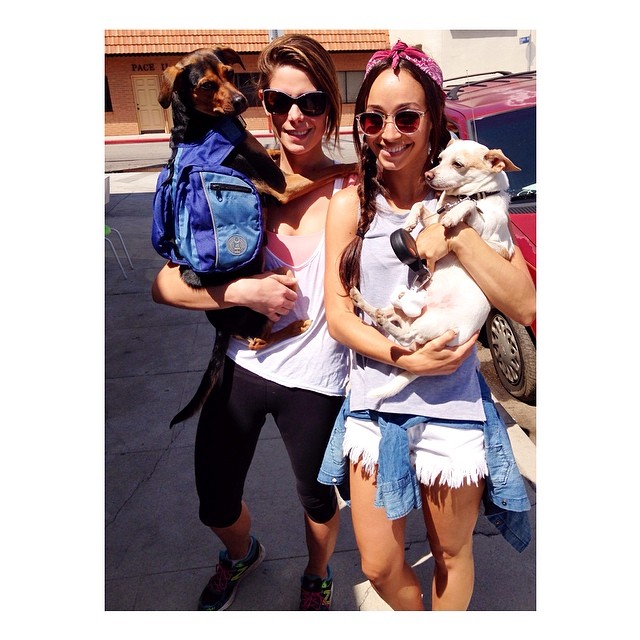 06 juni 2014: 🙅💁🙋 @imsheridanicole @ashleygreene cc @jaredrubenstein #toasttalk
