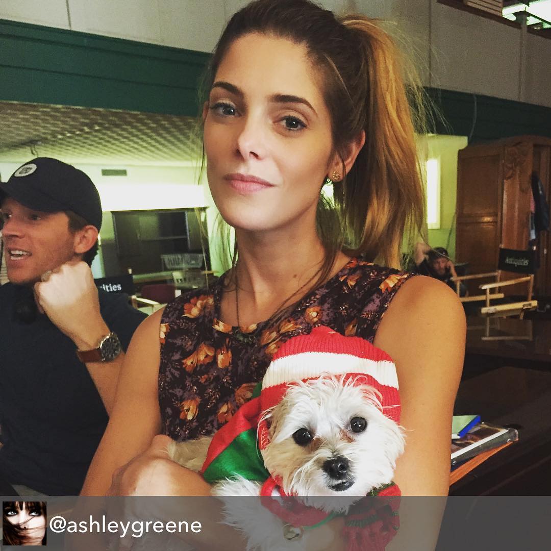 03 november 2016: Repost from @ashleygreene - Made a new friend on set 😍🐶❤️. @jdanielcampbell is obviously super excited about it. #antiquitiesfilm
