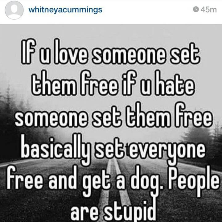 28 Juni: Hahah wise words from @whitneyacummings
 28 Juni: Hahah wise words from @whitneyacummings