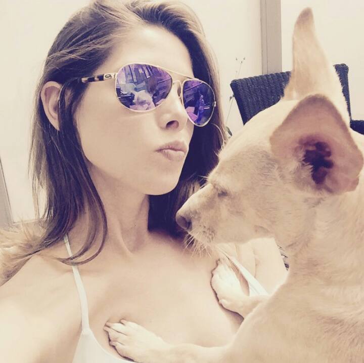05 Augustus: Sunbathing with Rosie and my new @oakleywomen shades. #shadeswag #oakley
alle 107 reacties bekijke
05 Augustus: Sunbathing with Rosie and my new @oakleywomen shades. #shadeswag #oakley
alle 107 reacties bekijke