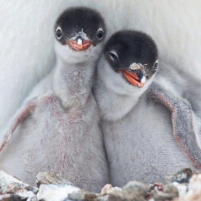 06 Oktober: Just cause
