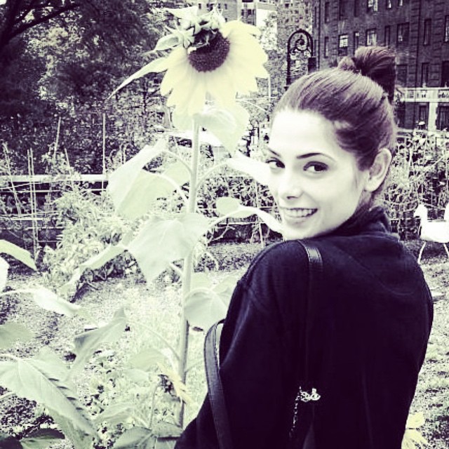 06 Oktober: Beauty. You can't help but smile when you see a sunflower in the city
06 Oktober: Beauty. You can't help but smile when you see a sunflower in the city