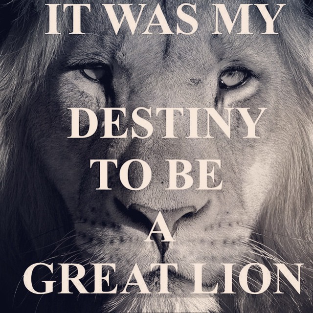 14 Oktober: That's all. @paulkhoury
14 Oktober: That's all. @paulkhoury