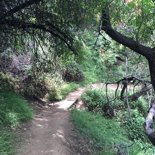 16 Mei: LA- I love you. And you too @josephchase #lahike #nature #beautiful
 16 Mei: LA- I love you. And you too @josephchase #lahike #nature #beautiful