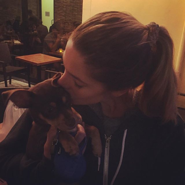 09 juni: My adorable dinner date this evening.. @buddygursky ... I'm in ❤️with him @brettgursky #puppylove #icouldeathimup
 09 juni: My adorable dinner date this evening.. @buddygursky ... I'm in ❤️with him @brettgursky #puppylove #icouldeathimup