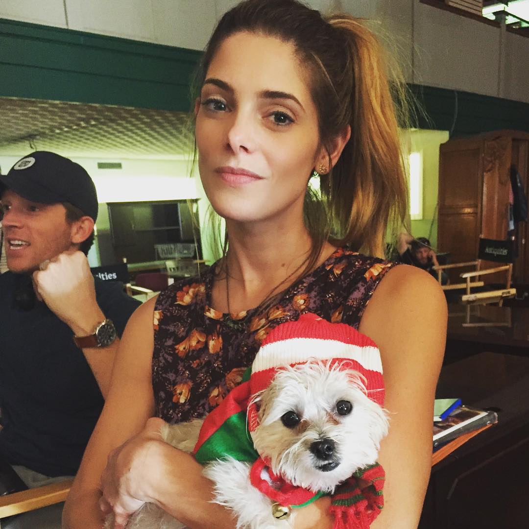 03 november: Made a new friend on set 😍🐶❤️. @jdanielcampbell is obviously super excited about it.
