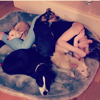13 Mei: @paulkhoury you're sneaky! Caught me cuddling/sleeping with puppies on the most comfy dog bed known to man. #puppylove
