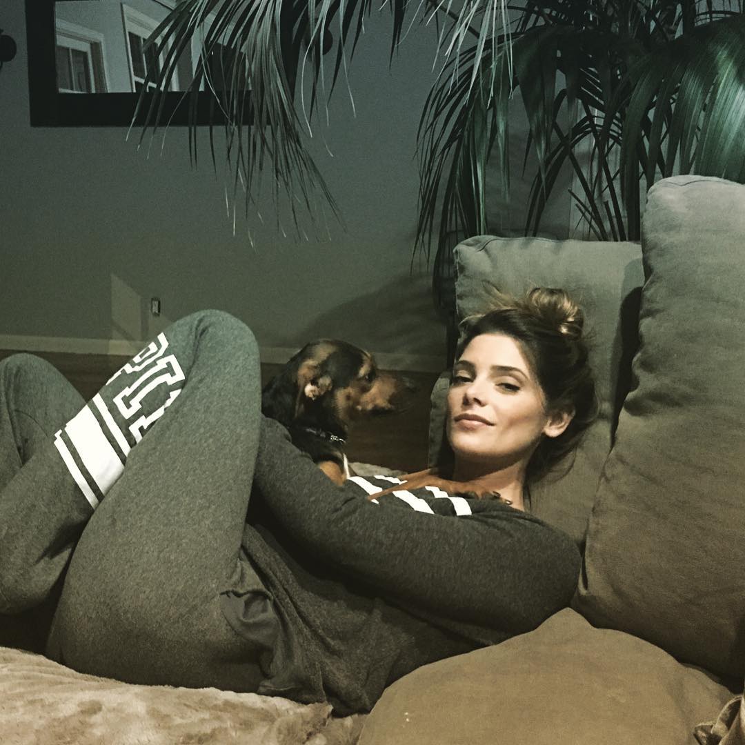 26 maart: The look of pure love ❤️ on a Saturday night. #saturdaynightvibes #puppylove #sweatpantsaremyjam
