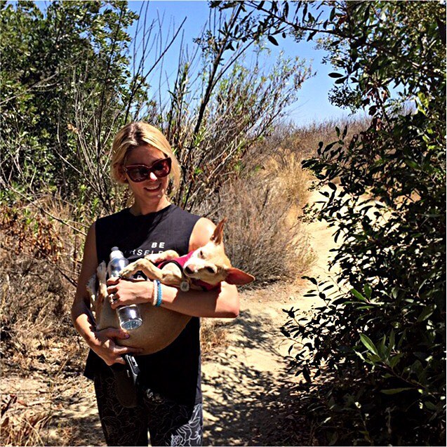 31 juli: When you unexpectedly have to hike with a ten pound weight (in the form of rosie) because she got tired. #hikevibes #puppylove #sorearms
