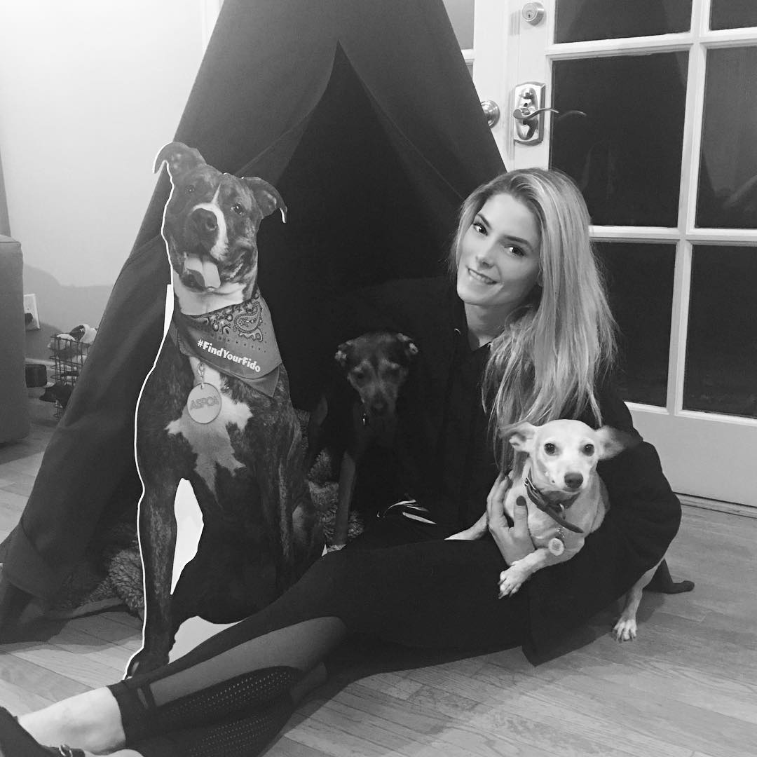 27 oktober: Hey guys! Meet #fido, He represents all of the pups in shelters waiting to be a part of your family. All of our dogs have been adopted and I wouldn’t have it any other way. We saved their lives, and they’ve enriched ours. October is adopt a shelter dog month so I challenge you to #findyourfido There are 3.3 million shelter dogs in the country, so your perfect pup is out there somewhere, waiting to come home! #dogmom #unconditionallove
