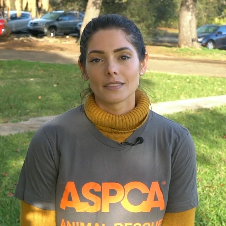 17 december: Ive begun taking a little time on Sunday’s to reflect on the positive things I’ve done (for myself and for others) and what i plan to do in the coming week. That being said... i wanted to share that I recently deployed with the @ASPCA to assist animals impacted by the devastating #CampFire in Northern California. I'm so grateful to have had the opportunity to socialize and care for all of the displaced pets, as well as reunite lost pets with their owners. It was a truly moving experience. I️ en
