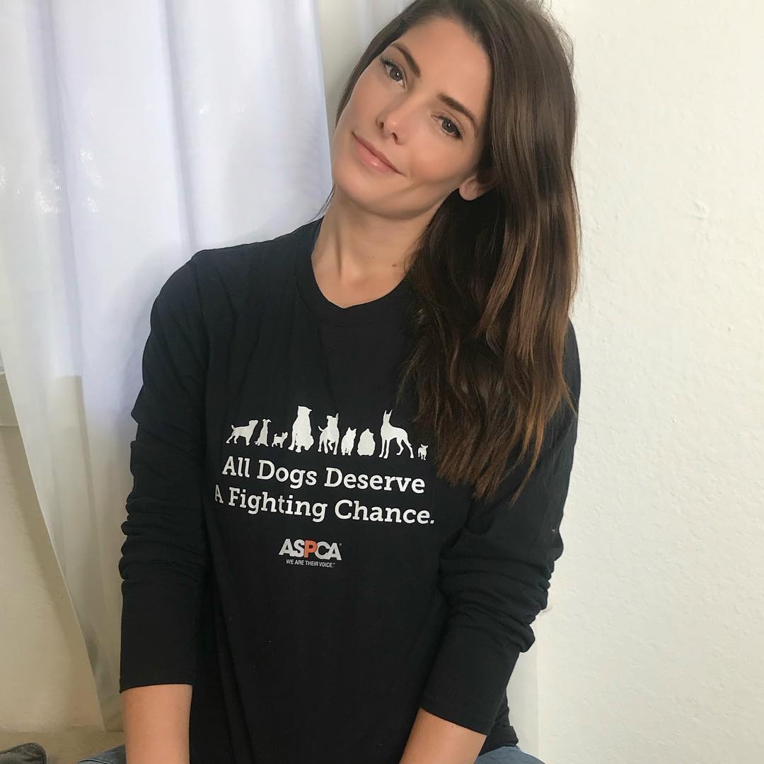 01 mei: We only need a few more signatures guys.... Less than ONE MINUTE out of your day could change the course of so many animals lives. Visit Www.aspca.org 🙏 and sign our petition ❤️ (link in bio)
