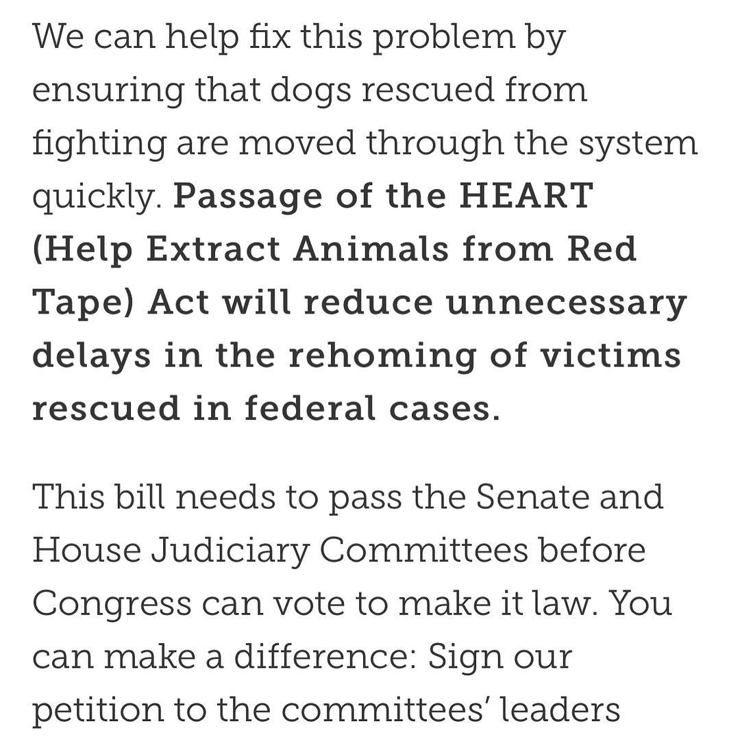 01 mei: We only need a few more signatures guys.... Less than ONE MINUTE out of your day could change the course of so many animals lives. Visit Www.aspca.org 🙏 and sign our petition ❤️ (link in bio)
