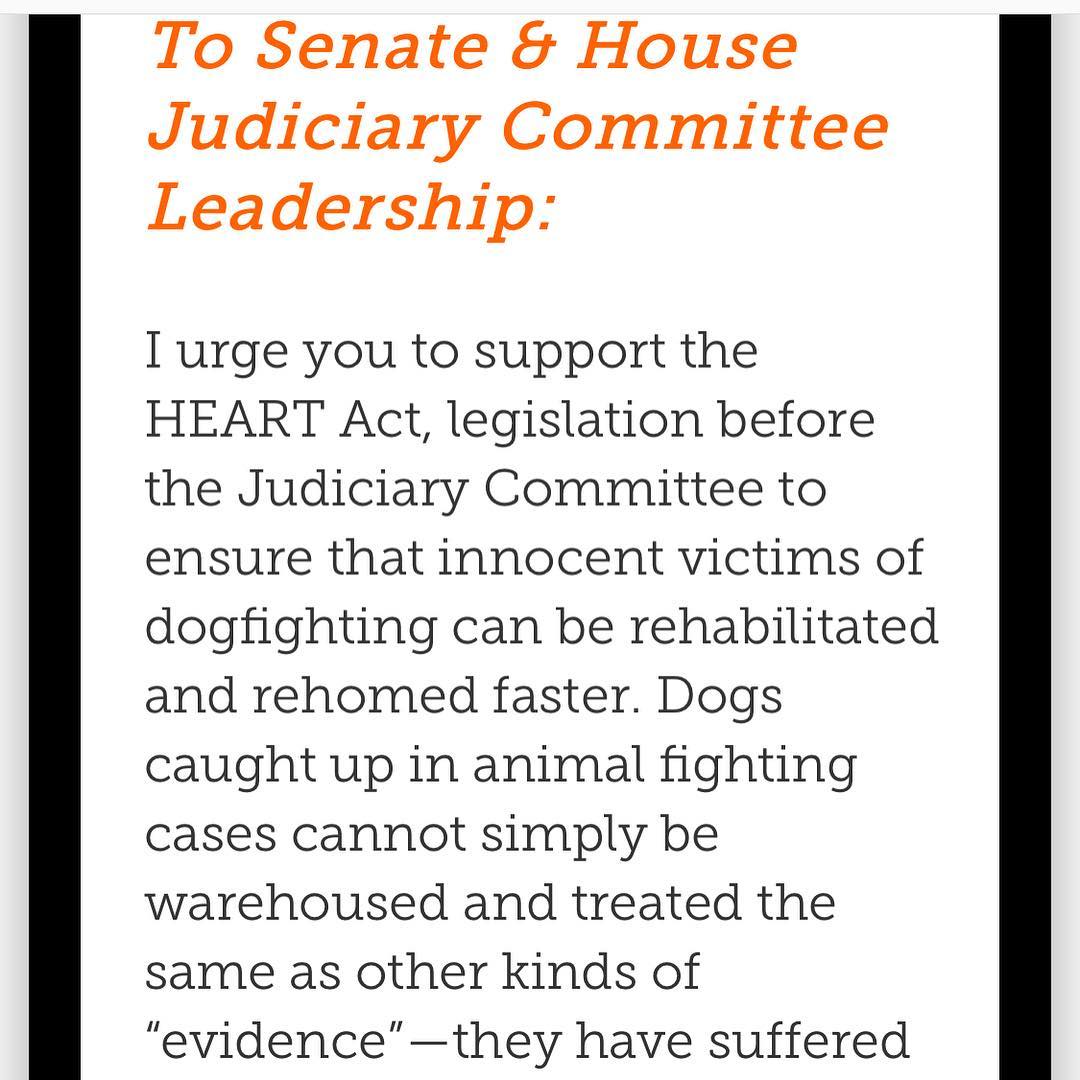 01 mei: We only need a few more signatures guys.... Less than ONE MINUTE out of your day could change the course of so many animals lives. Visit Www.aspca.org 🙏 and sign our petition ❤️ (link in bio)
