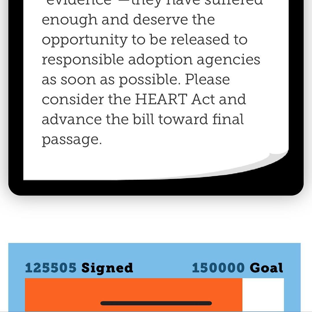 01 mei: We only need a few more signatures guys.... Less than ONE MINUTE out of your day could change the course of so many animals lives. Visit Www.aspca.org 🙏 and sign our petition ❤️ (link in bio)
