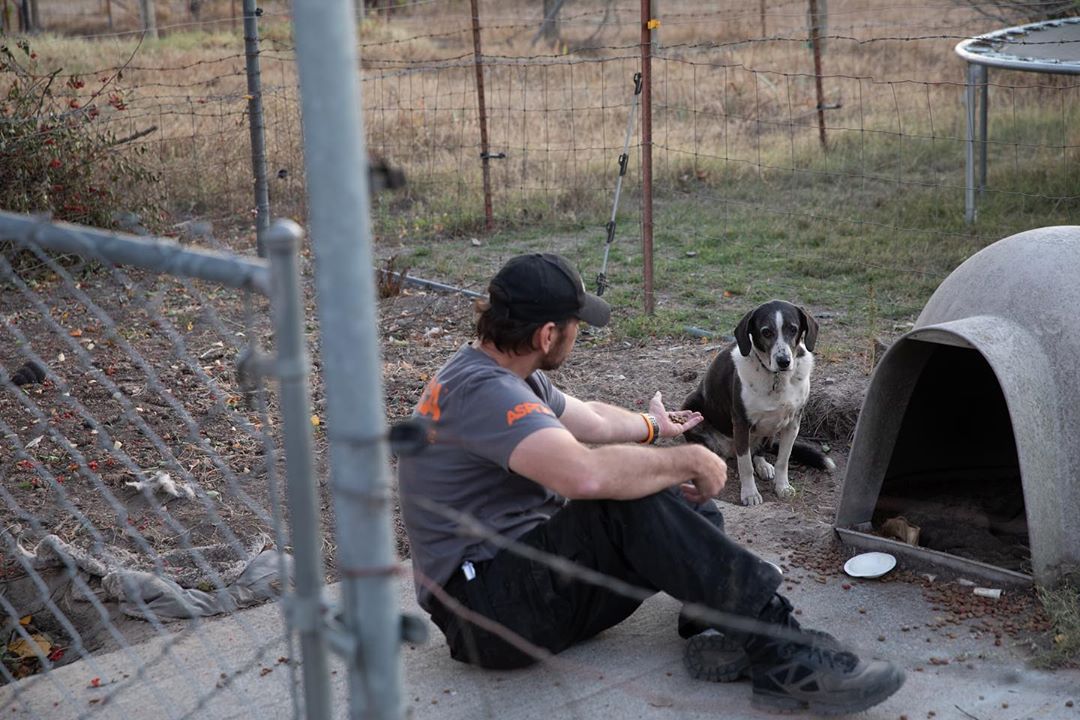 1 november: Guys, once again I’m calling all angels and asking for help... The @ASPCA has been on the ground assisting animals impacted by the Kincade wildfire that has devastated Northern California. Please consider supporting their fire relief efforts by visiting aspca.org/CaliforniaFires #CAwildfires
