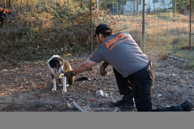 1 november: Guys, once again I’m calling all angels and asking for help... The @ASPCA has been on the ground assisting animals impacted by the Kincade wildfire that has devastated Northern California. Please consider supporting their fire relief efforts by visiting aspca.org/CaliforniaFires #CAwildfires
