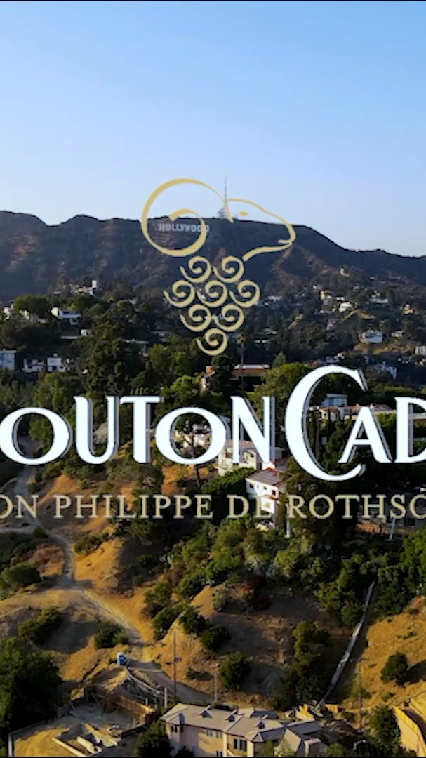 #TasteAMoment

"You've seen it during Thanksgiving, you know how much I love food, but if there is one thing I love most is food with wine 🍷 🍇 !
I am really excited to announce to you my collaboration with @moutoncadet_official.
Wine is not intimidating and should be a really fun experience. There is so much to explore!
Discover our romantic dinner cooked by my husband where I picked a selection of 3 Mouton Cadet wines.
Cheers to a wonderful experience"
@moutoncadet_official #MoutonCadet #TasteAMoment #ad
