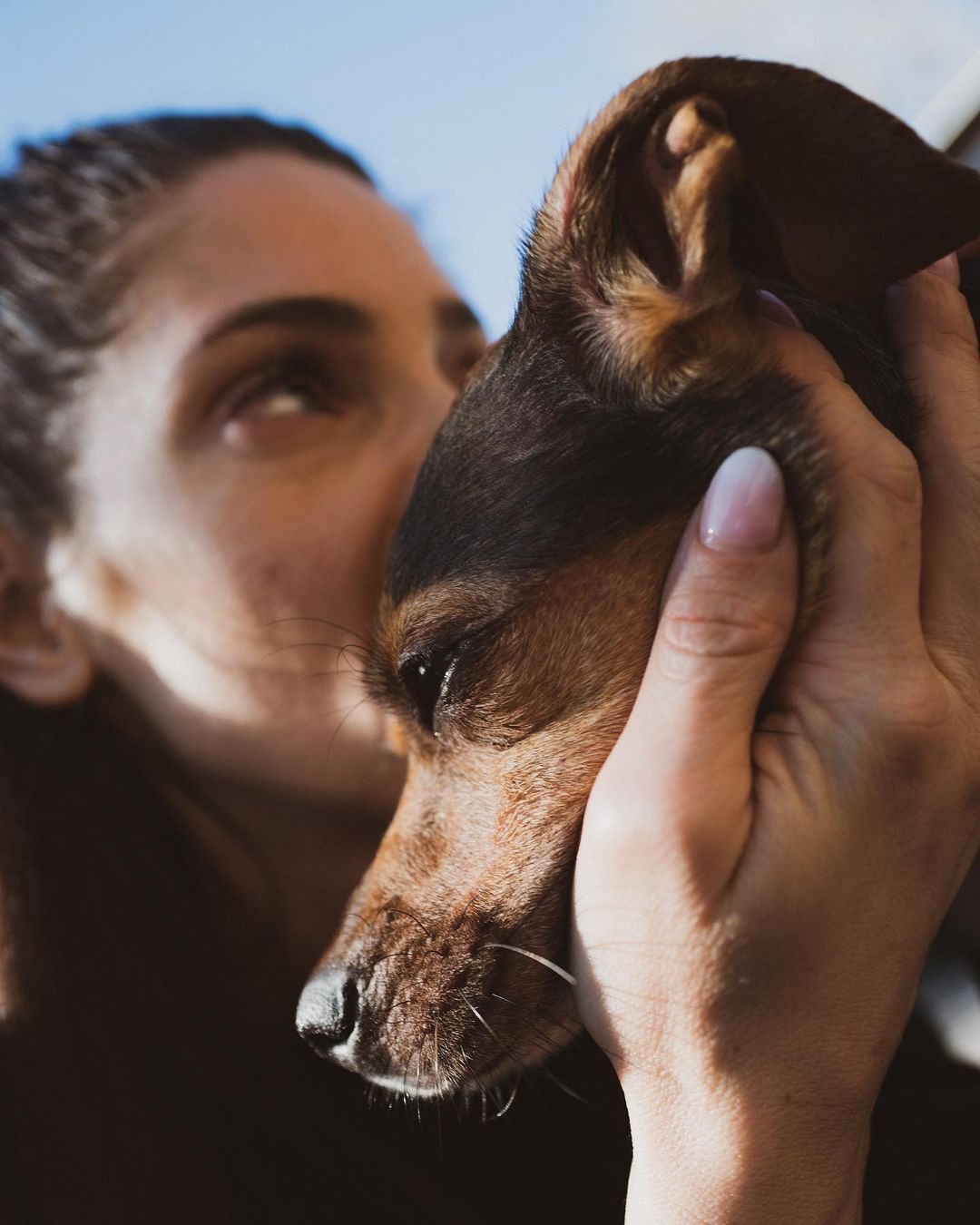 05 februari: My sweet little girl, Indy. You gave us more unconditional love and joy than I ever thought possible and I'm forever grateful. Although there is a hole in my heart right now, that only time can heal, knowing you're at peace now gives me comfort. Heaven gained a very special angel. Thank you for being our girl. #RIP
INDY KHOURY 02/12/2012- 02/03/2021
