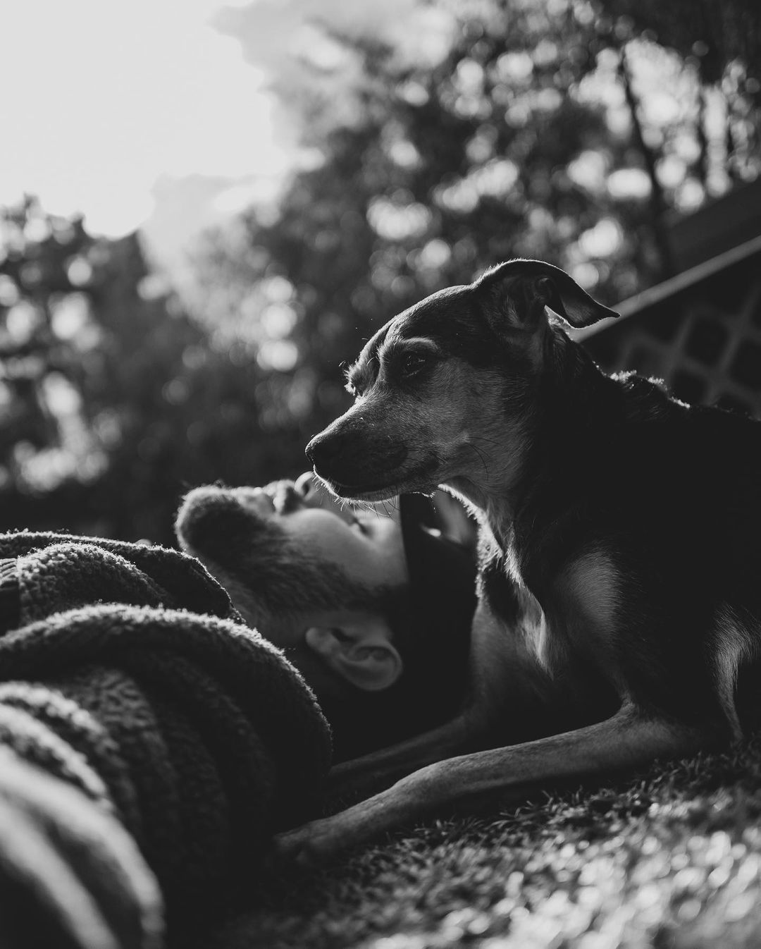 05 februari: My sweet little girl, Indy. You gave us more unconditional love and joy than I ever thought possible and I'm forever grateful. Although there is a hole in my heart right now, that only time can heal, knowing you're at peace now gives me comfort. Heaven gained a very special angel. Thank you for being our girl. #RIP
INDY KHOURY 02/12/2012- 02/03/2021

