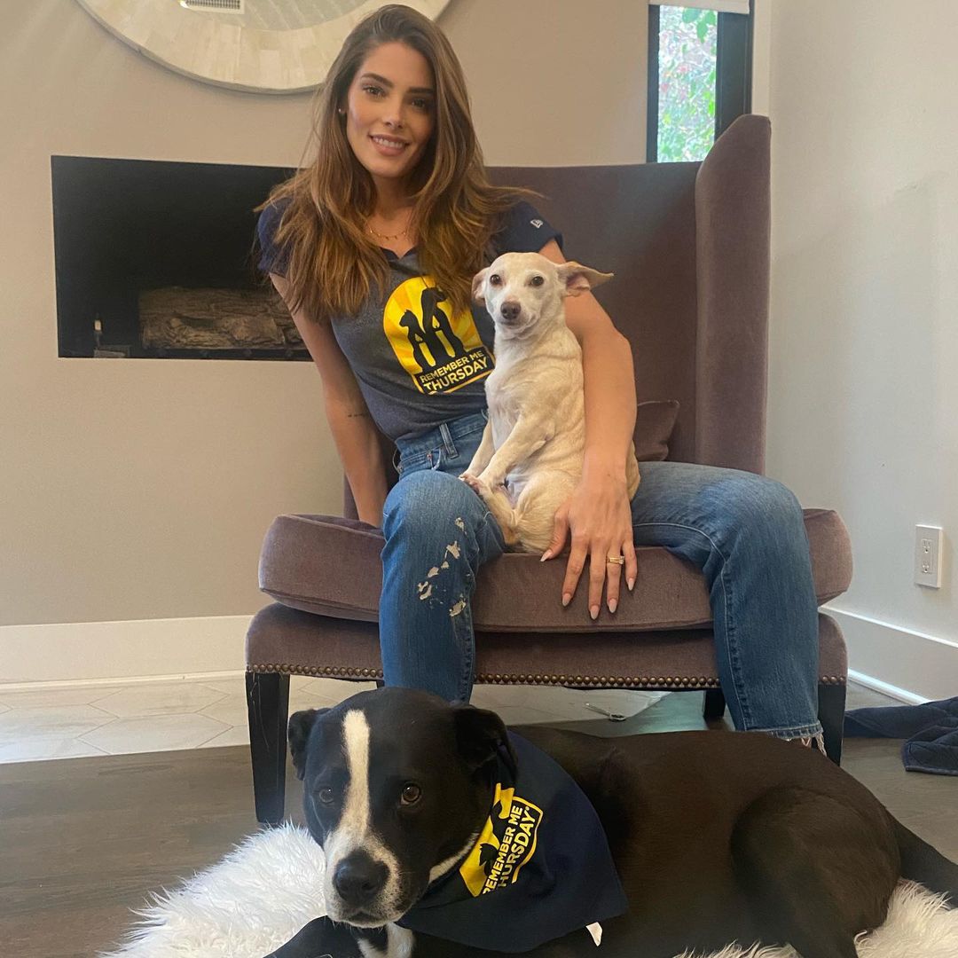 24 september: On Remember Me Thursday, we shine a light to encourage pet adoption worldwide, about the amazing rescue pets, who fill our hearts and lives with love & joy! Not only are pets an amazing source of comfort, healing and happiness, sometimes they’re lifesavers-so lets help return the favor on #remembermethursday
Visit https://remembermethursday.org for more info!
24 september: On Remember Me Thursday, we shine a light to encourage pet adoption worldwide, about the amazing rescue pets, who fill our hearts and lives with love & joy! Not only are pets an amazing source of comfort, healing and happiness, sometimes they’re lifesavers-so lets help return the favor on #remembermethursday
Visit https://remembermethursday.org for more info!