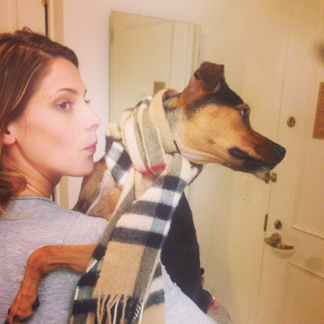 31 Oktober 2014: Miss my girls @ashleygreene #Indy
