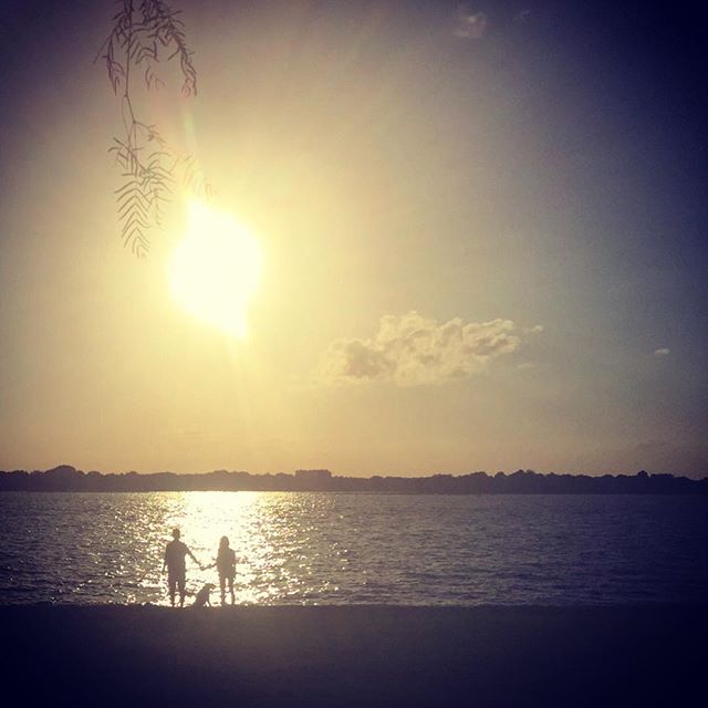 6 Juli 2015: Sometimes you just have to take a second and let it all in! @ashleygreene #bronsonthedog
