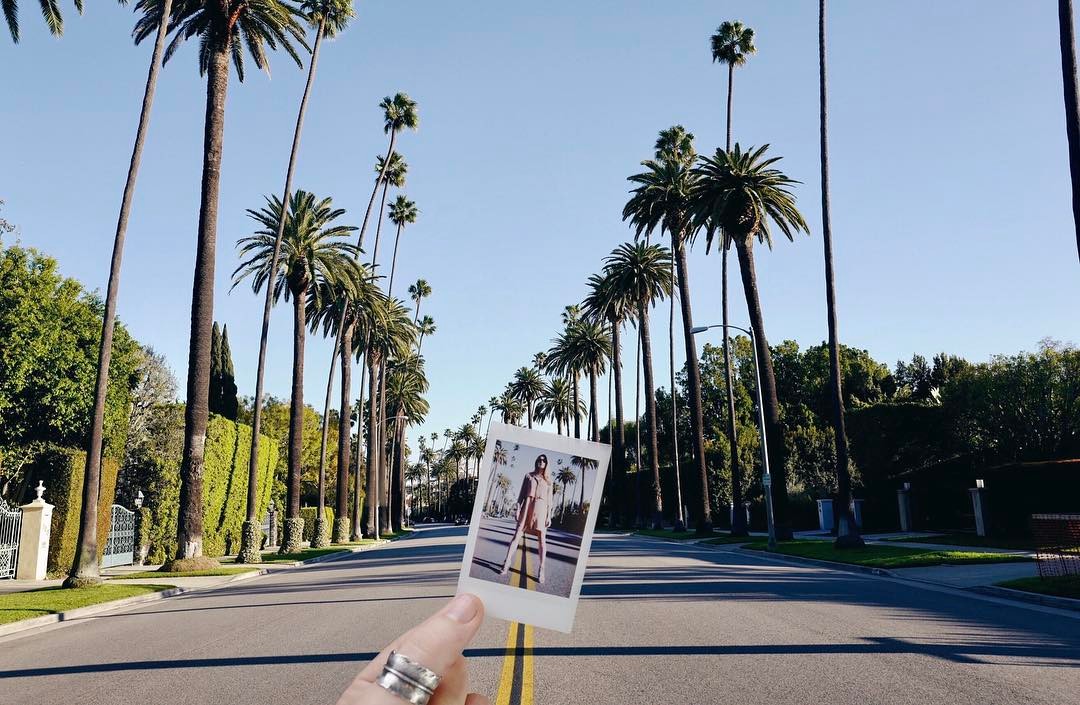 13 februari 2017: 🌴🌴🌴🌴🌴#polaroidperspective #khouryscamera #35of365
