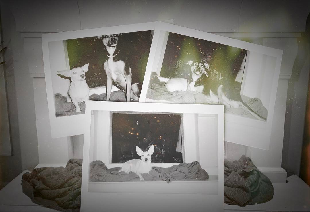 17 februari 2017: Jumping back in time for our fire place hang sessions #vintagephotography #lightleak #khouryscamera #polaroidperspective #39of365
