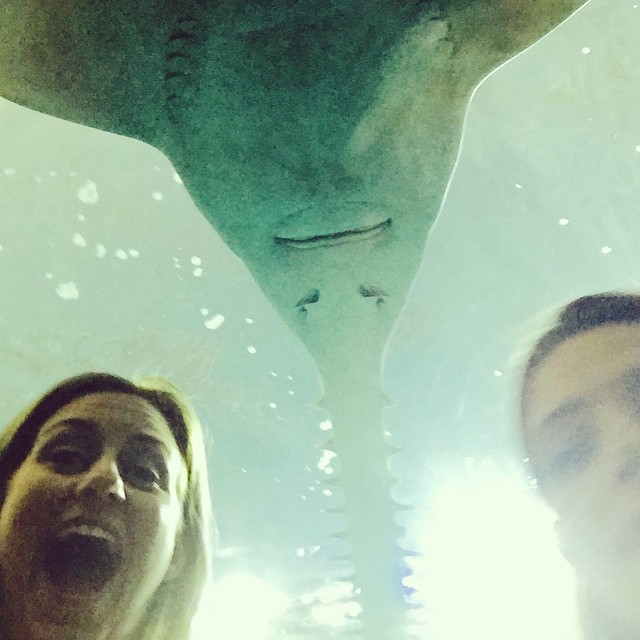 22 juni 2015; With our new favorite real-life cartoon character. @ashleygreene #aquarium #toronto #sharks
