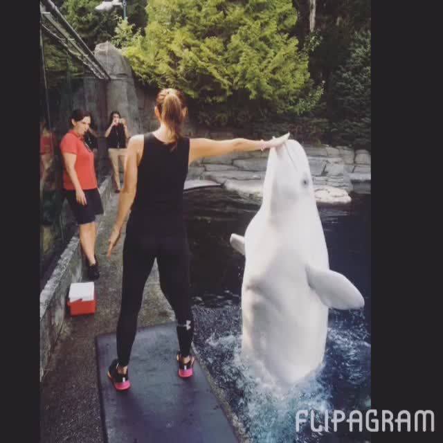 19 juli 2016; We came for the otters and got to do so much more. @ashleygreene @bpeach
