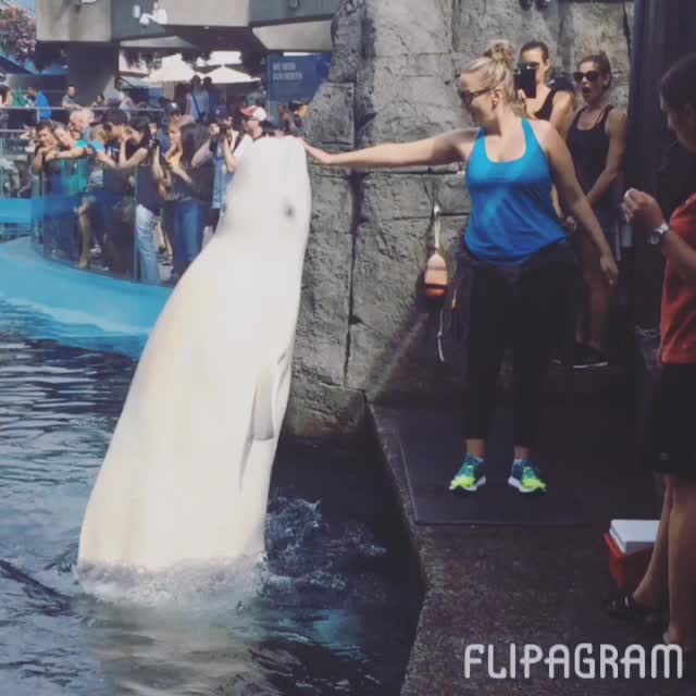 19 juli 2016; We came for the otters and got to do so much more. @ashleygreene @bpeach
19 juli 2016; We came for the otters and got to do so much more. @ashleygreene @bpeach