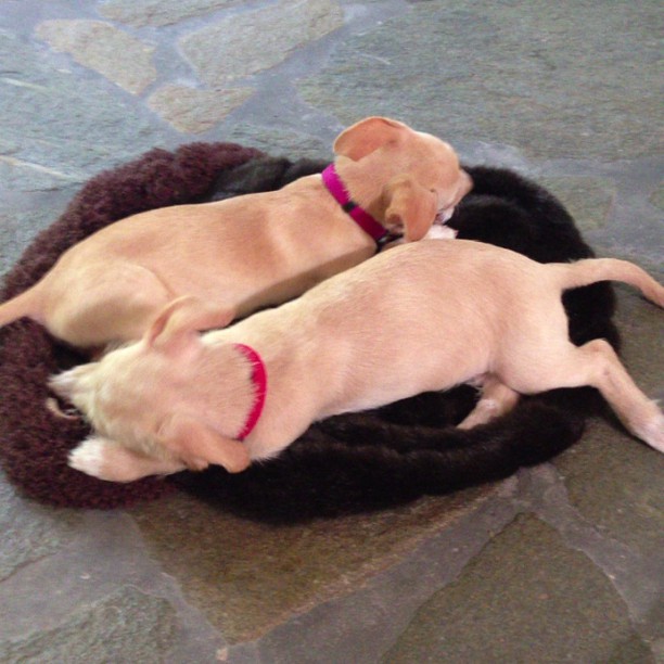 28 juni 2013: cuties *-*
