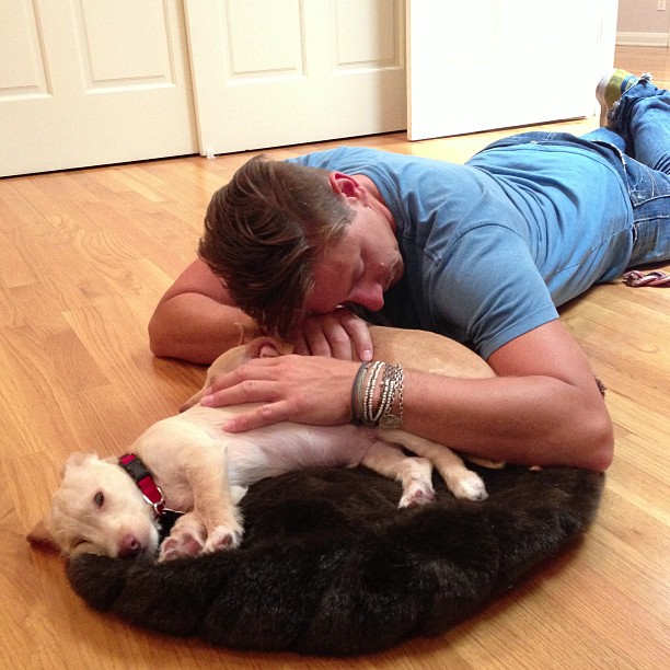 29 juni 2013: Luther, Rose, and Ralph finally meet. @ashleygreene @spotrescuedogs
