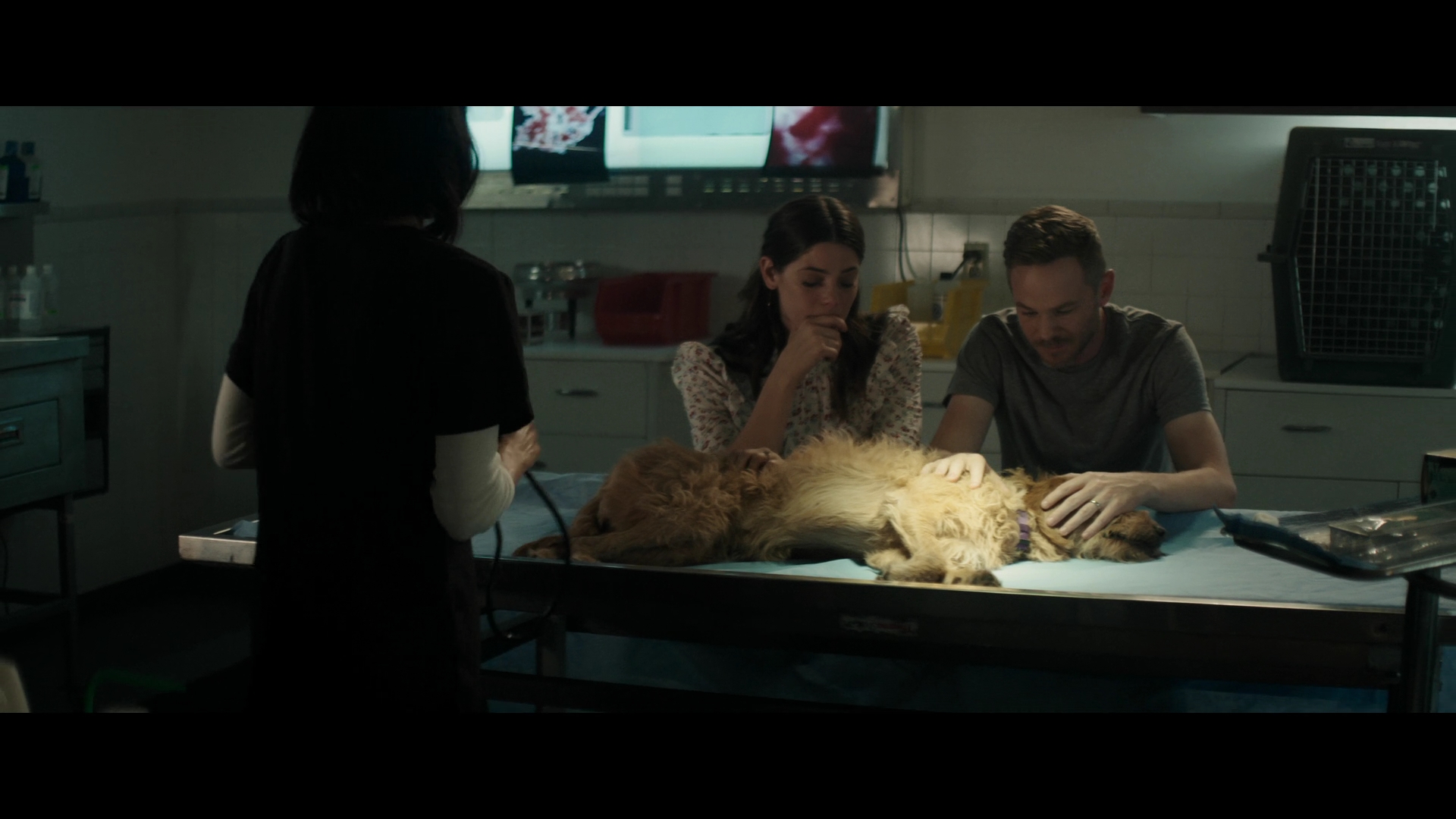 Ashley-Greene-dot-nl_Aftermath3677.jpg Ashley-Greene-dot-nl_Aftermath3677.jpg