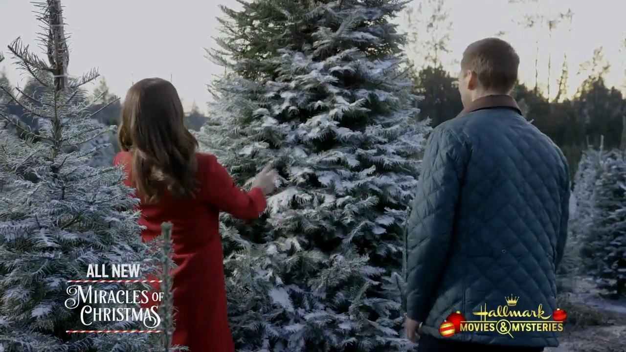 Ashley-Greene-dot-nl_ChristmasOnMyMind2049.jpg Ashley-Greene-dot-nl_ChristmasOnMyMind2049.jpg