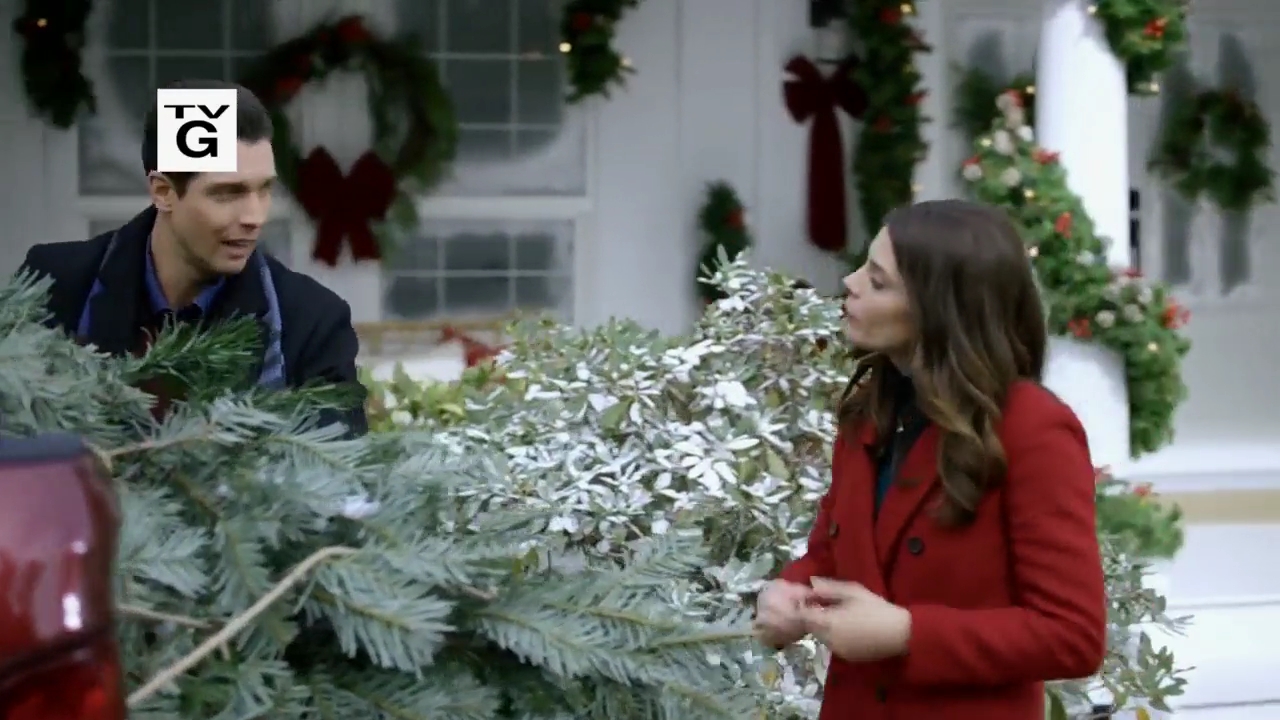 Ashley-Greene-dot-nl_ChristmasOnMyMind2111.jpg Ashley-Greene-dot-nl_ChristmasOnMyMind2111.jpg