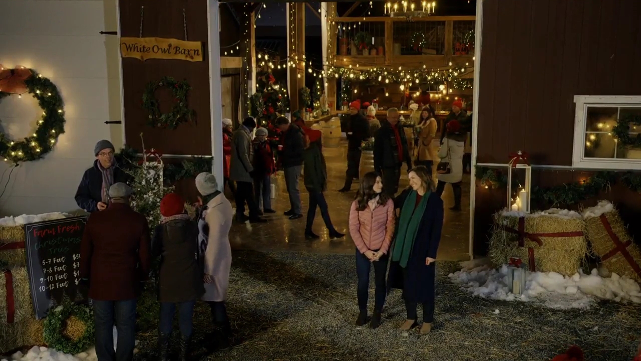 Ashley-Greene-dot-nl_ChristmasOnMyMind2673.jpg Ashley-Greene-dot-nl_ChristmasOnMyMind2673.jpg