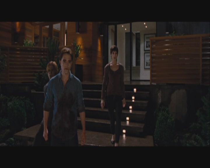 Ashley-Greene-dot-nl_BreakingDawnPart1-1633.jpg