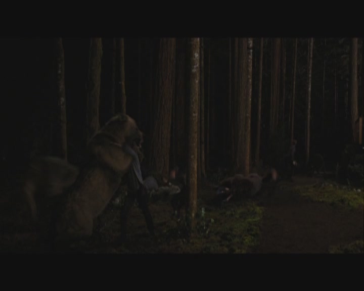 Ashley-Greene-dot-nl_BreakingDawnPart1-1682.jpg