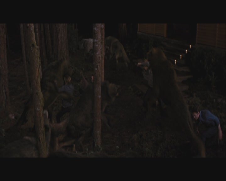Ashley-Greene-dot-nl_BreakingDawnPart1-1703.jpg