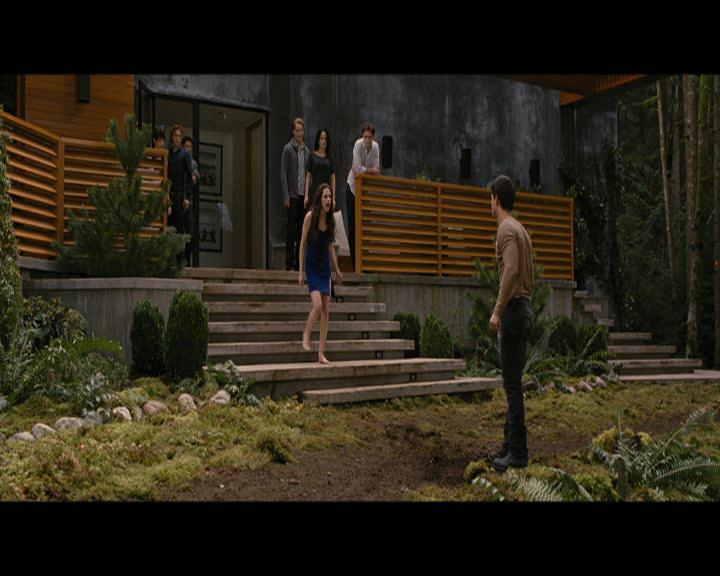 Ashley-Greene-dot-nl_BreakingDawnPart2-0655.jpg